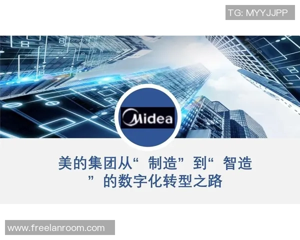 北京排球队的转型之路与未来发展趋势深度解析